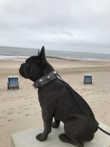Bully Butsche am Meer